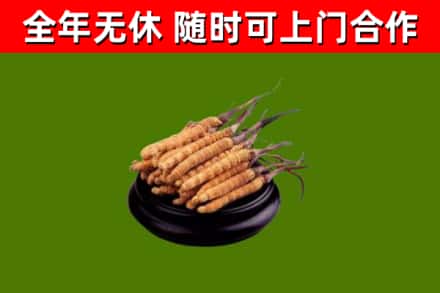 青羊区烟酒回收冬虫夏草.jpg